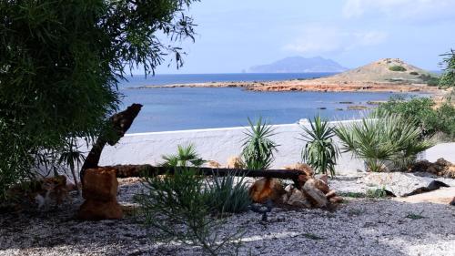 ein Garten mit Blick auf ein Gewässer in der Unterkunft CasaEole B&B in El Haouaria
