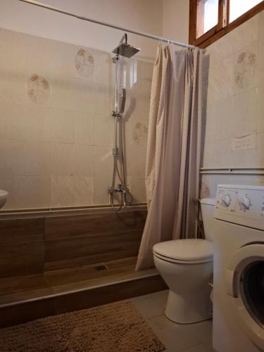 a bathroom with a shower and a toilet and a tub at PANOS PALACE in Pramanta