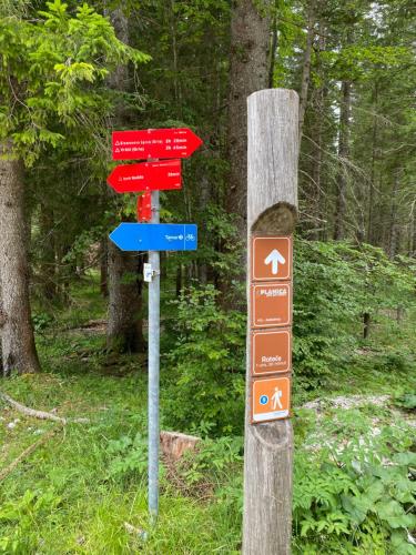 a group of signs on a pole in a forest at Apartma Confine in Rateče