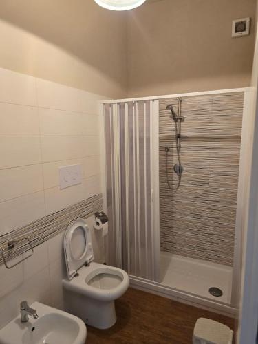 a bathroom with a toilet and a shower and a sink at B&B Camposauro in Vitulano