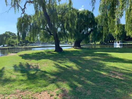 a tree in the grass next to a river at G's Haven A place where memories are made in Vanderbijlpark