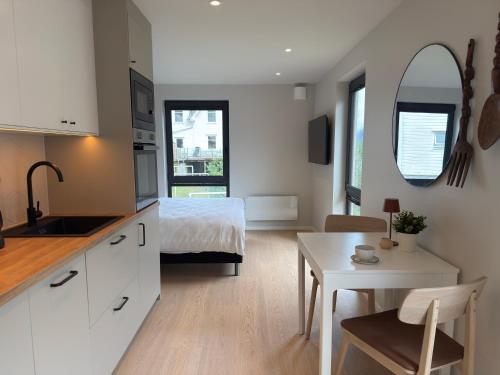 Kuchyň nebo kuchyňský kout v ubytování Odda City Apartments