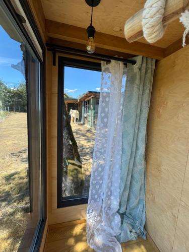 a window with a curtain and a view of a yard at Tinyhouse in der Natur in Hahn bei Marienberg