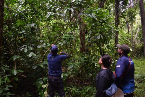 a group of people looking at a tree in the forest at AHAS GAWWA Boutique in Padukka
