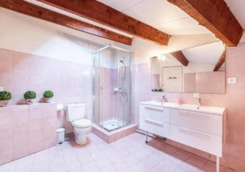 une salle de bain avec une douche, des toilettes et un lavabo dans l'établissement Maison Traditionnelle Catalane avec terrain de tennis et piscine, à Palau-del-Vidre