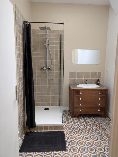 a bathroom with a shower and a sink at Barbieux Charmant studio au pied du métro in Roubaix