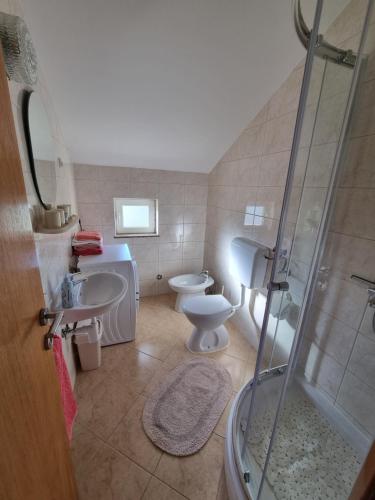 a bathroom with a shower and a toilet and a sink at Apartman Max in Biograd na Moru