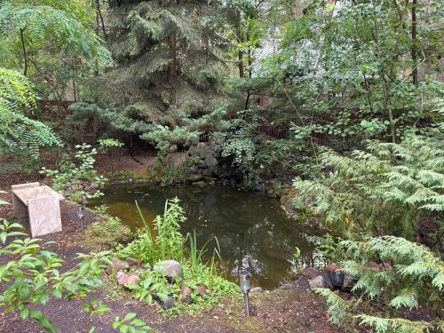 a pond in the middle of a garden at Leśna Chata Arciechów in Arciechow