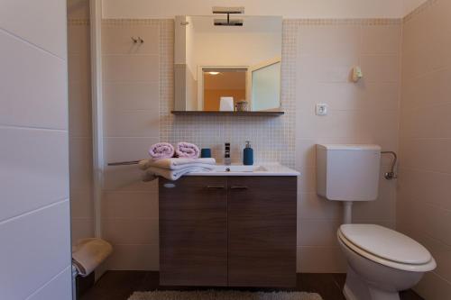 ein Badezimmer mit einem WC, einem Waschbecken und einem Spiegel in der Unterkunft Apartment MAGAŠ in Vrbnik