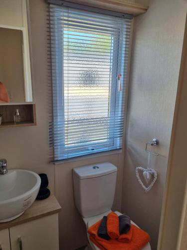 a bathroom with a toilet and a sink and a window at Golfing & Family Breaks in Luxury Lodge in Tydd Saint Giles