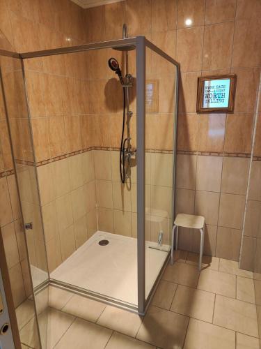 a shower with a glass enclosure in a bathroom at Au Vendangeoir Gîte de groupe piscine in Couvignon