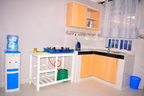 Η κουζίνα ή μικρή κουζίνα στο Imani apartment