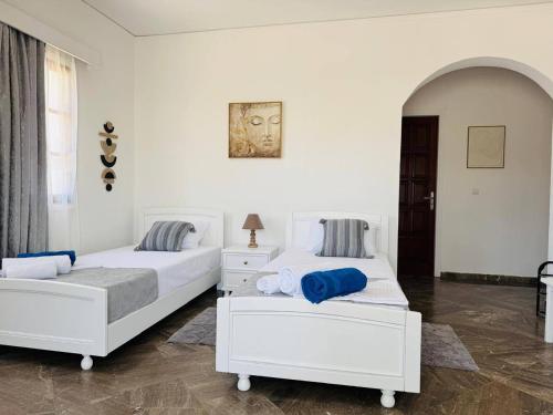 two beds in a room with white walls at Desire Apartments in Kato Gouves