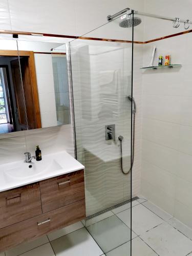 a bathroom with a shower and a sink at Apartmány Blansko in Blansko