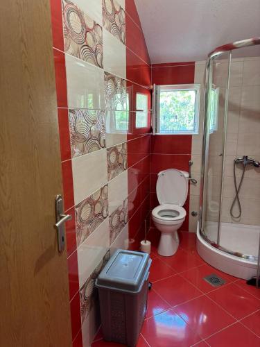 a bathroom with a toilet and a shower at Cozy Apartment Kuti in Herceg-Novi
