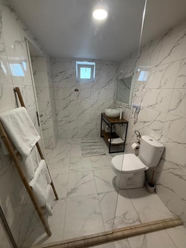 a white bathroom with a toilet and a sink at Casa lui Matei Murighiol in Murighiol