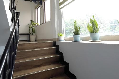 a staircase with potted plants on a window ledge at Catappa Lodge Puerto Galera in Puerto Galera
