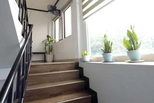 a stairwell with potted plants on a window ledge at Catappa Lodge Puerto Galera in Puerto Galera