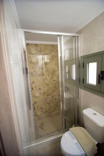 a bathroom with a shower with a toilet and a sink at Agnanti Studios in Roussopoúlion