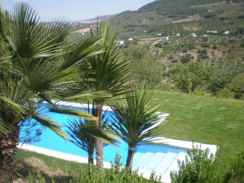 a swimming pool with palm trees in a field at Apartamentos Rurales El Cañuelo de Carcabuey in Carcabuey