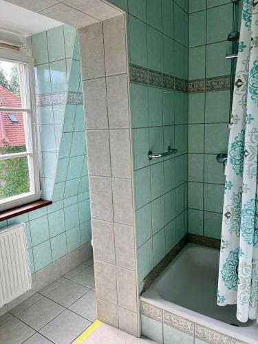 a bathroom with a tub and a shower at Schloss Zehdenick in Zehdenick