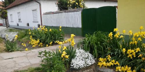 a garden with yellow flowers in front of a fence at Unicum Vendégház in Abádszalók