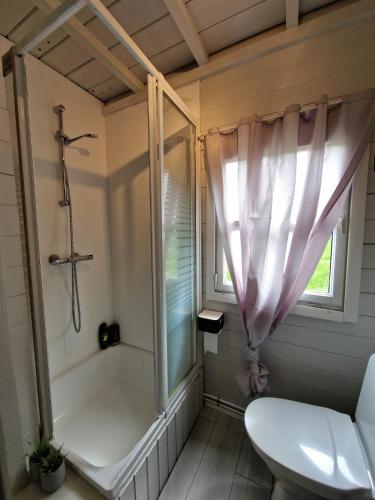 a bathroom with a shower and a toilet at Cozy Family cabin by the lake in Ólafsfjörður