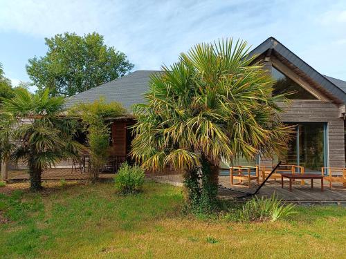 a house with a palm tree in front of it at Gîte de la Croix Regnault in Raids
