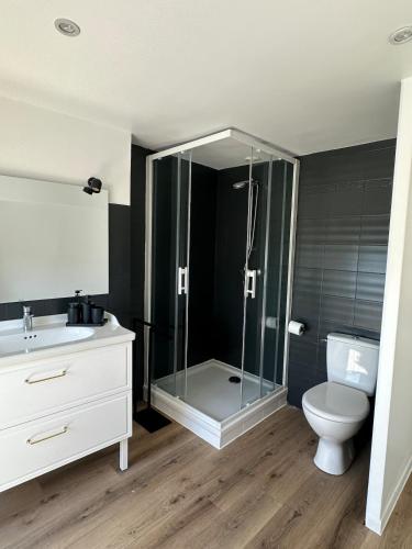 a bathroom with a glass shower and a toilet at Un nid en ville - Studio centrale, cosy et calme in Pacy-sur-Eure