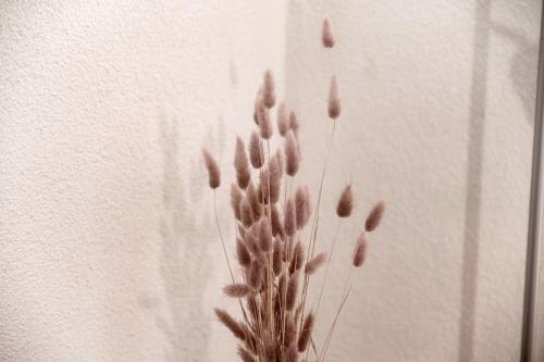a group of dried plants in a vase at Casa Ortensia by Quokka 360 - Cozy house with garden in Monteggio