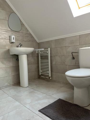 a bathroom with a sink and a toilet at Pensiunea Kacsó in Măgherani