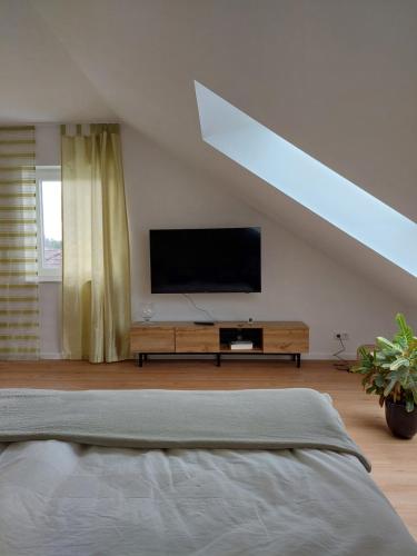 Μια τηλεόραση ή/και κέντρο ψυχαγωγίας στο Apartment Senfnest