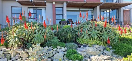 a garden with red flowers and plants in front of a building at Tweede Wind in Yzerfontein