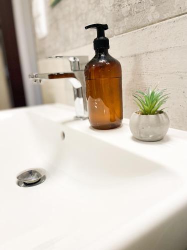 a soap dispenser sitting on top of a bathroom sink at Chalupa Rozálka in Cerny Dul