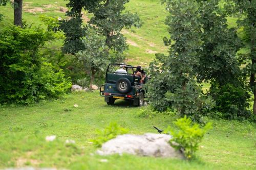 an old green jeep driving down a grass field at The Sky Imperial Jungle Camp Resort in Kumbhalgarh
