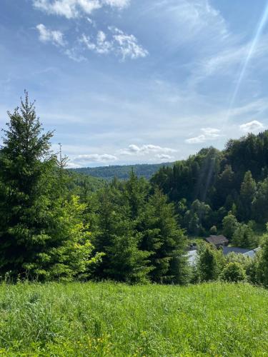 a view from a field of grass and trees at Котеджі Віват in Oryavchyk