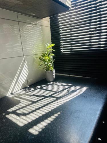 Φωτογραφία από το άλμπουμ του Madivas Self Catering Guesthouse σε Rundu