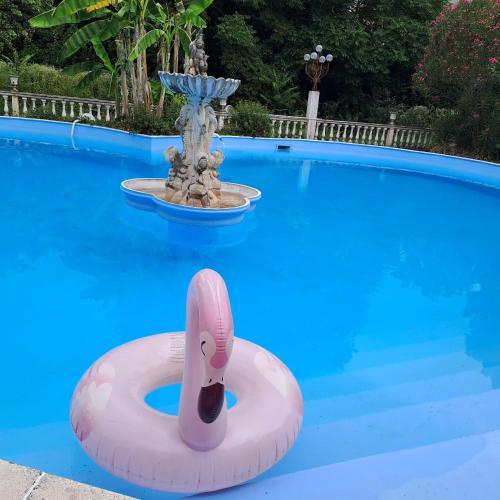 a swimming pool with a pink float in the middle at GRAZZANO ANTICA STAZIONE in Grazzano Visconti