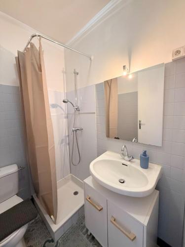 a white bathroom with a sink and a shower at Le Cocon Ruthenois in Rodez