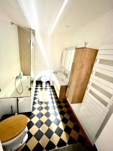 a bathroom with a toilet and a shower and a sink at Chez Schumi in Kirchheim