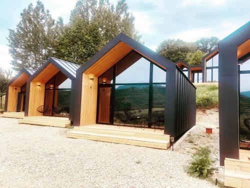 a group of modular homes with large windows at The Landscape Barn Homes in Râşnov