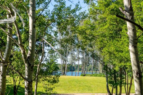 a row of trees with a lake in the background at Omega Lake Apartments in Olsztyn
