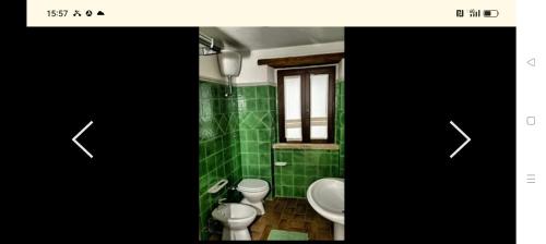 a green bathroom with a toilet and a sink at affittacamere b&b l'aurora Montelparo in Montelparo
