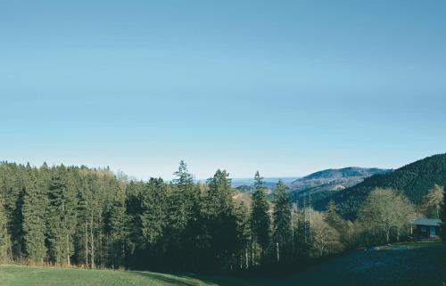 a green hill with trees and a house in the distance at Luchs Quartier Hahnenklee in Hahnenklee-Bockswiese