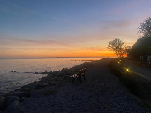 a bench sitting on the beach at sunset at Wohnwagen auf dem Wulfenerhals ca 150m bis zum Meer in Fehmarn