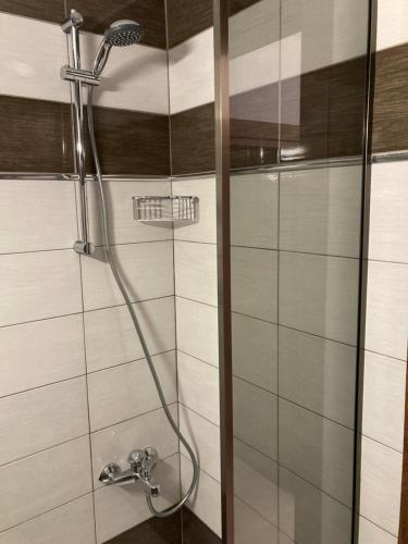 a shower with a shower head in a bathroom at Aldebaran house in Nea Fokea