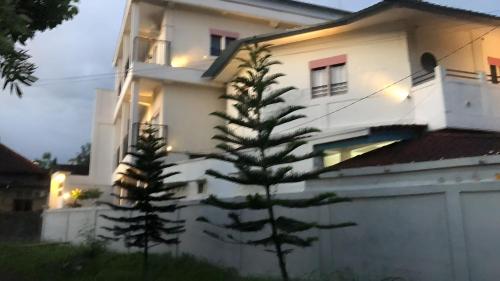 two pine trees in front of a white house at Hotel Arda Bali in Negara