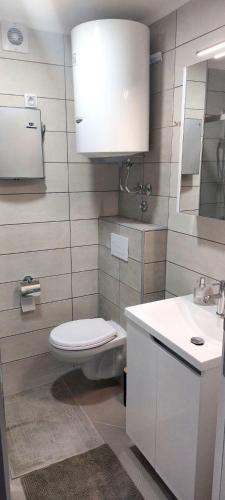 a bathroom with a toilet and a sink at Apartman Lena in Vrnjačka Banja