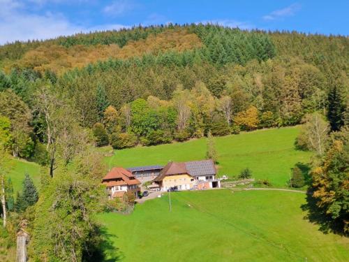 an aerial view of a house in a green field at Ferienwohnung Hof in Wolfach