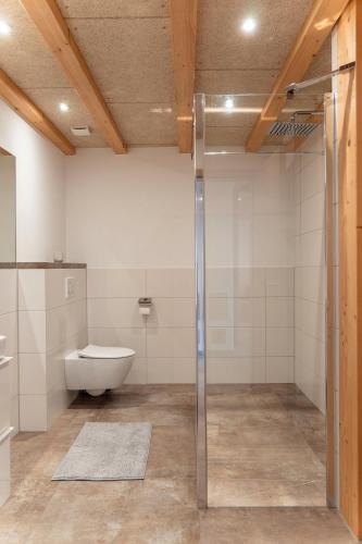 a bathroom with a toilet and a glass shower stall at Ferienwohnung Hof in Wolfach